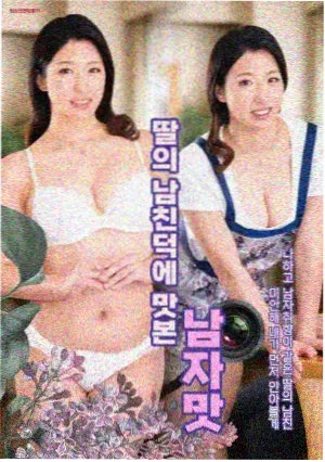 屋顶上的猫咪 温情韩剧在线观看